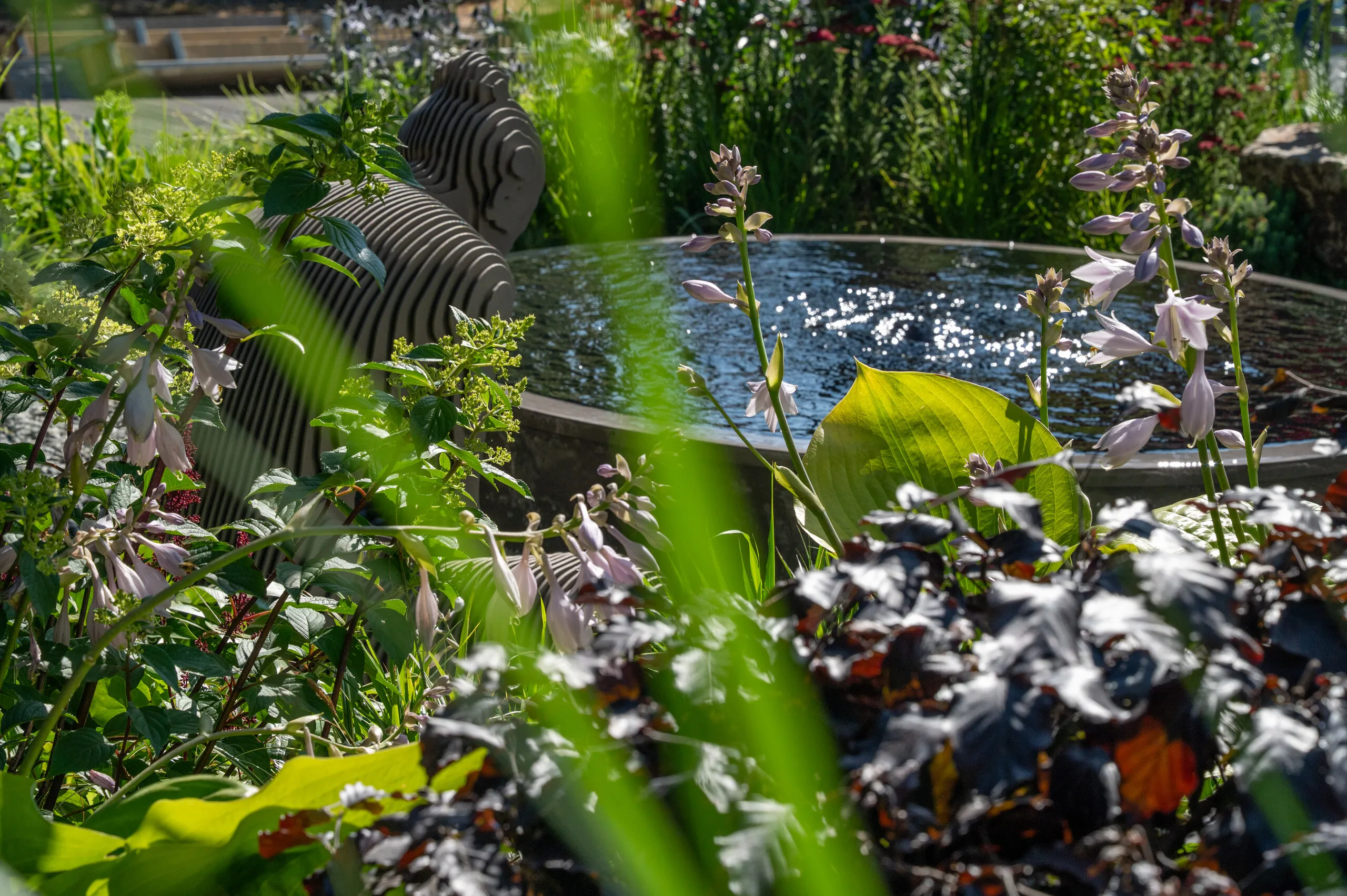 Contemporary reflective pool surrounded by layered planting and garden sculpture designed by Kitti Kovacs